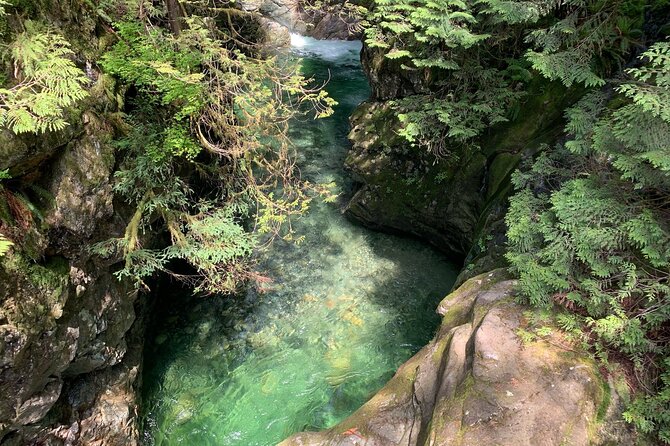 Vancouver Rainforest Hike with Waterfalls, Suspension Bridge, Old Growth Forest - Who should book this Lynn Canyon outing?