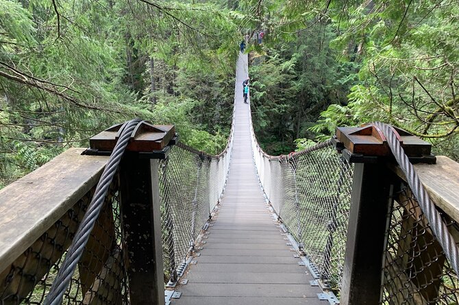 Vancouver Rainforest Hike with Waterfalls, Suspension Bridge, Old Growth Forest - Lynn Canyon Suspension Bridge and the first forest views