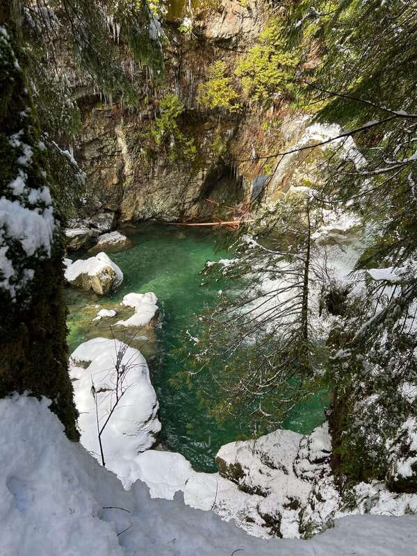 Vancouver: Rainforest Waterfall Hike and Suspension Bridge - The rainforest is the real reason to go