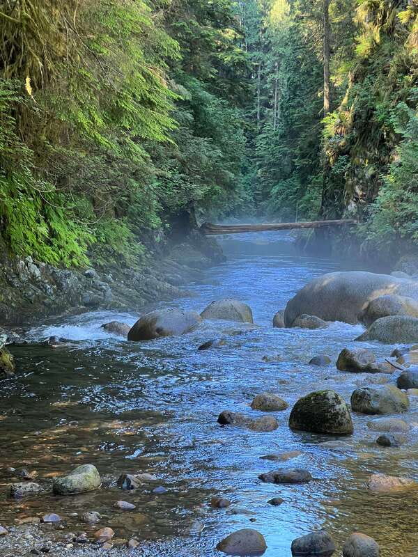 Vancouver: Rainforest Waterfall Hike and Suspension Bridge - Adrian makes the outing more personal