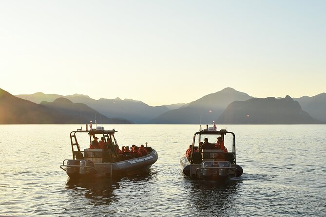Vancouver's Intimate West Coast Whale Watching Experience - What you might see beyond the whales