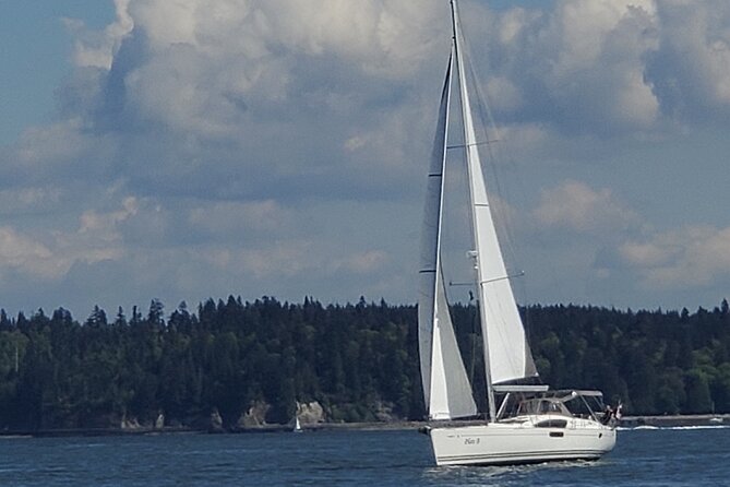 Vancouver Sailing Experience on a 50 foot Sailboat - Stanley Park from the water