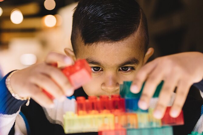 Vancouver Science World Ticket - Search: Sara Stern Gallery brings nature indoors
