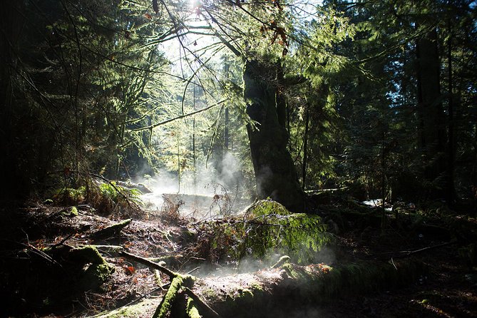 Vancouver Secrets of Stanley Park Walking Tour - Brockton Point totem poles and what came before