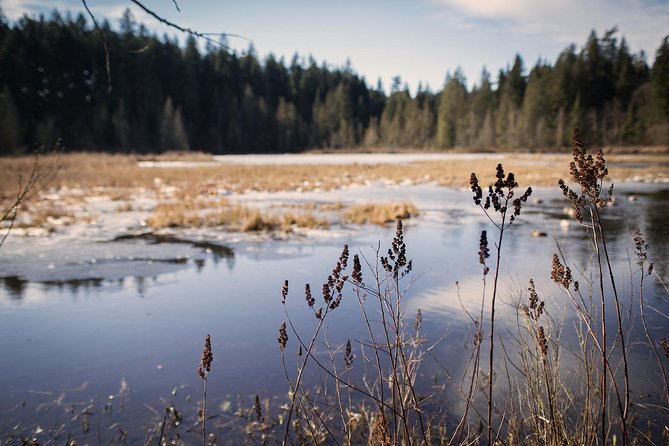 Vancouver Secrets of Stanley Park Walking Tour - Is $29.29 a fair price?