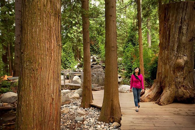 Vancouver Sightseeing and Suspension Bridge Small Group Tour - Why this half-day tour works well