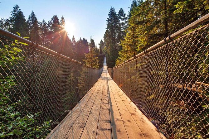 Vancouver Sightseeing and Suspension Bridge Small Group Tour - Timing, walking, and weather