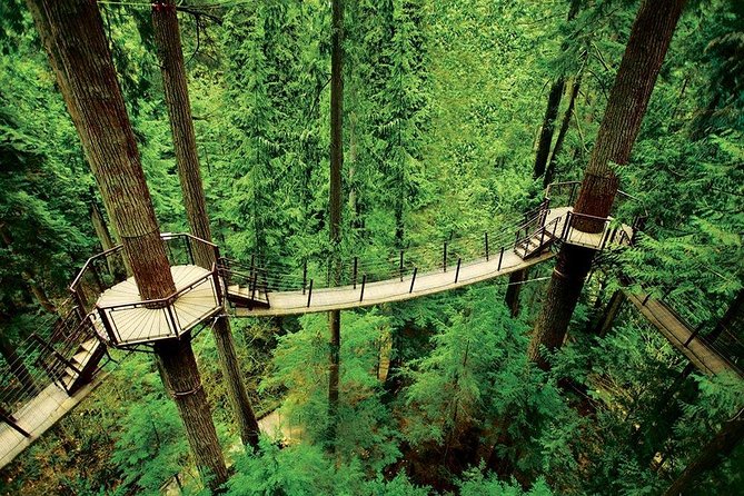Vancouver Sightseeing and Suspension Bridge Small Group Tour - Chinatown and Gastown in short doses