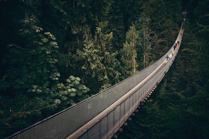 Vancouver Small Group Night Tour w/Capilano + Grouse Mtn Dinner - Stanley Park from the comfort of the vehicle