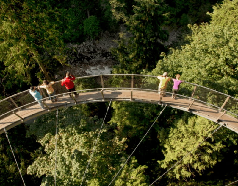 Vancouver: Small Group Tour w/Capilano & Grouse Mtn Lunch - Why the six-person limit changes the experience