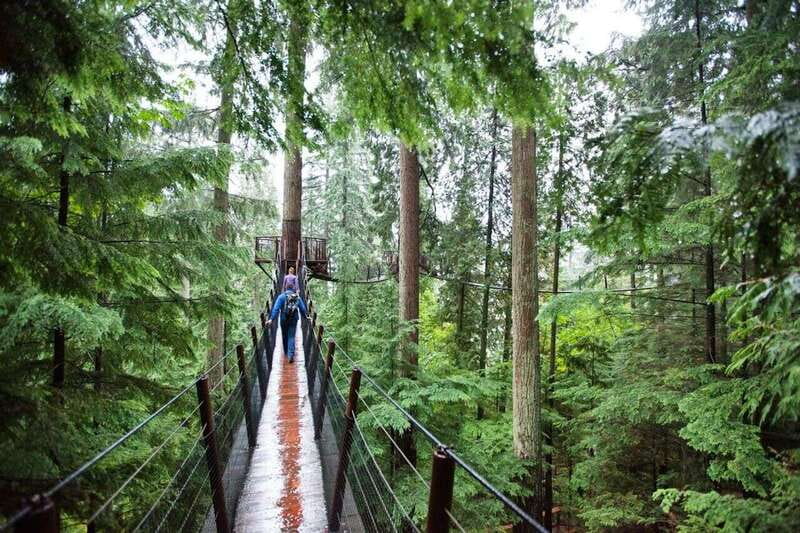 Vancouver: Small Group Tour w/Capilano & Grouse Mtn Lunch - Starting downtown with a local guide