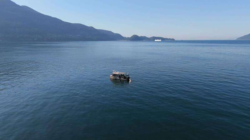 Vancouver: Snorkeling Seals Kayaking Scenic Boat Tour - Kayaking and paddleboarding around the island