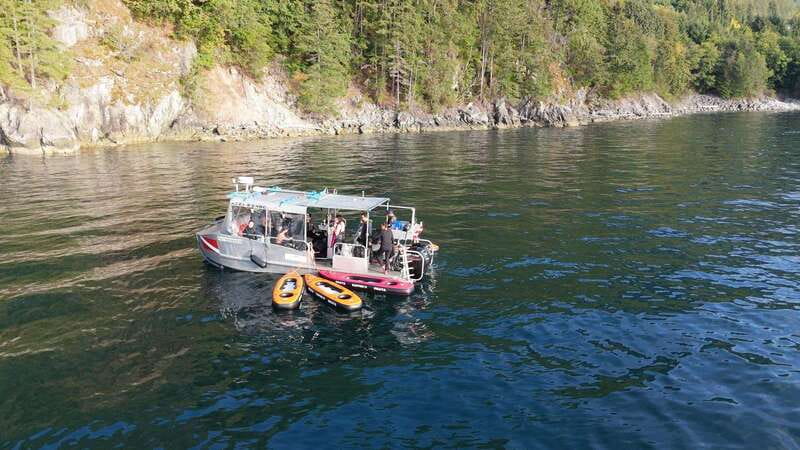 Vancouver: Snorkeling Seals Kayaking Scenic Boat Tour - Who should book this outing?
