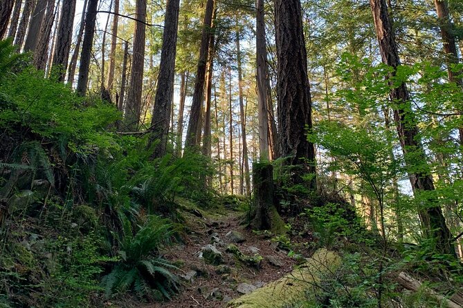 Vancouver Stanley Park 3 Hour Bike Tour - Brockton Point totem poles and First Nations context