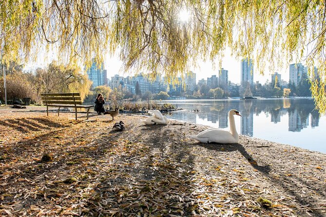Vancouver Stanley Park 3 Hour Bike Tour - What you get for $69.99