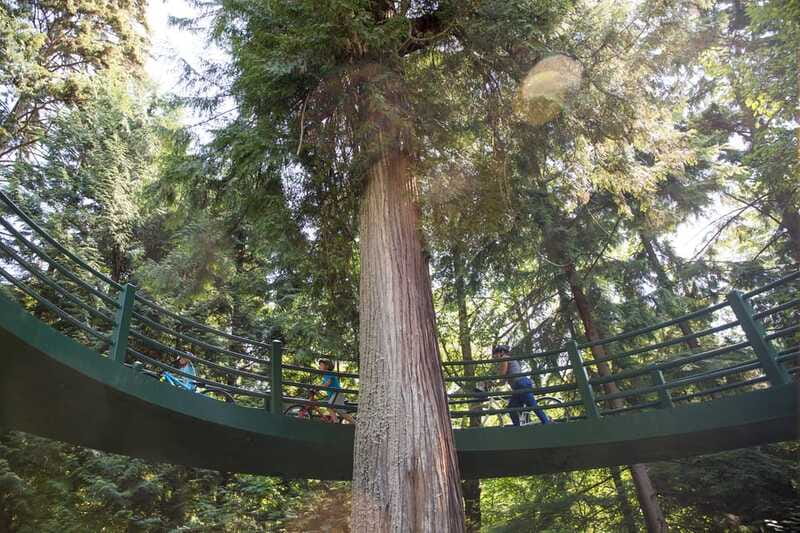 Vancouver: Stanley Park Bicycle Tour - The views that make the ride worthwhile