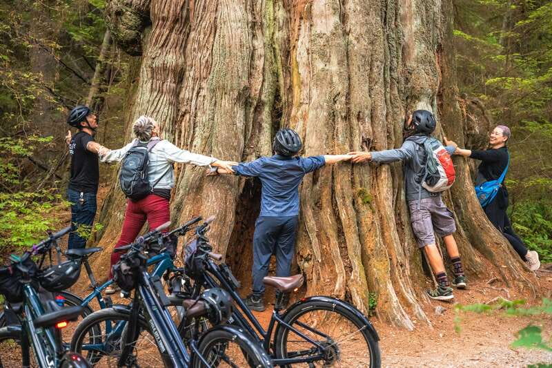 Vancouver: Stanley Park Bicycle Tour - Starting at Hornby Street and reaching the waterfront
