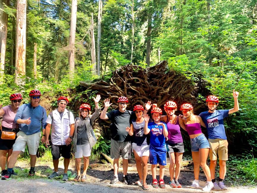 Vancouver: Stanley Park Bike Tour | E-Bike Upgrade Avail. - How much value do you get for $69?