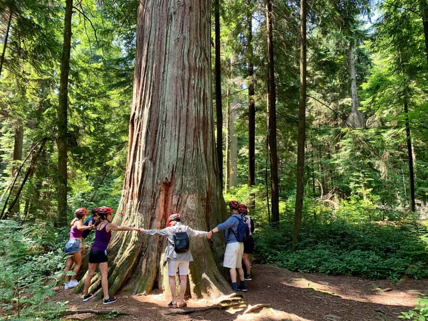 Vancouver: Stanley Park Bike Tour | E-Bike Upgrade Avail. - Through the forest and along Stanley Park’s seawall