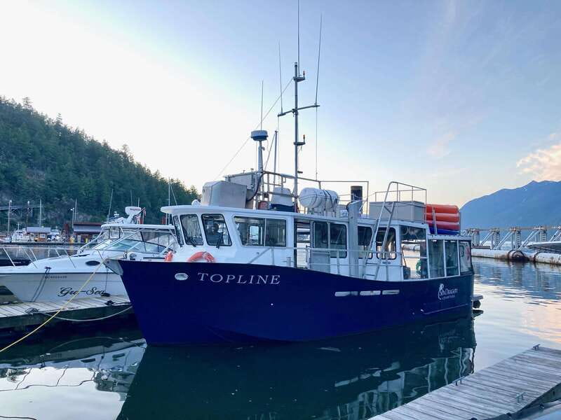 Vancouver: Sunset Boat Cruise with Complementary Bubbly - Key points to know before booking