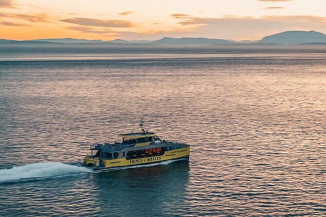 Vancouver Sunset Whale Watching Adventure with Free Photos - The catamaran ride is part of the attraction