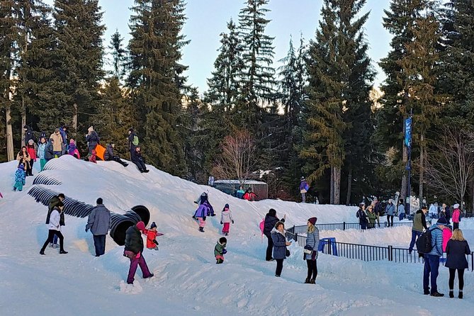 Vancouver to Whistler Private Tour - What the private format is really worth