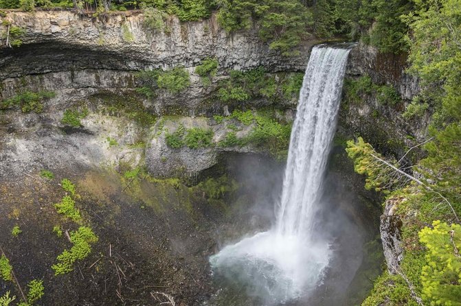 Vancouver to Whistler Private Tour - Shannon Falls, a short walk to a major waterfall