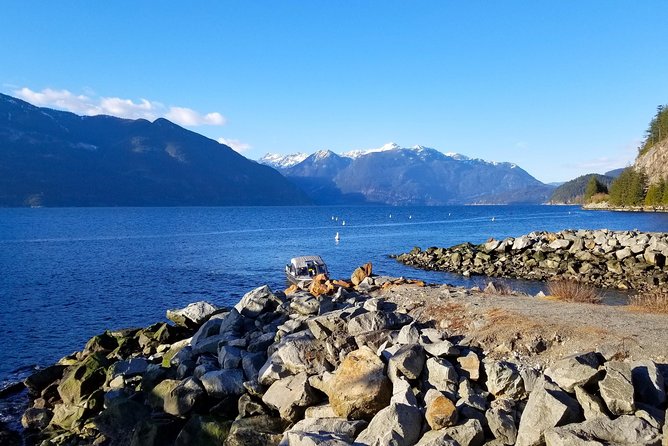 Vancouver to Whistler Tour - Downtown Hotel Pick Ups Only - Horseshoe Bay gives the morning a small-town pause