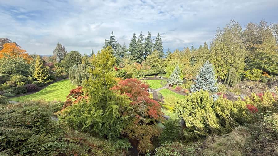 Vancouver Tour/Car/Grandville Island/Queen Elizabeth/China T - Starting near Burrard SkyTrain Station