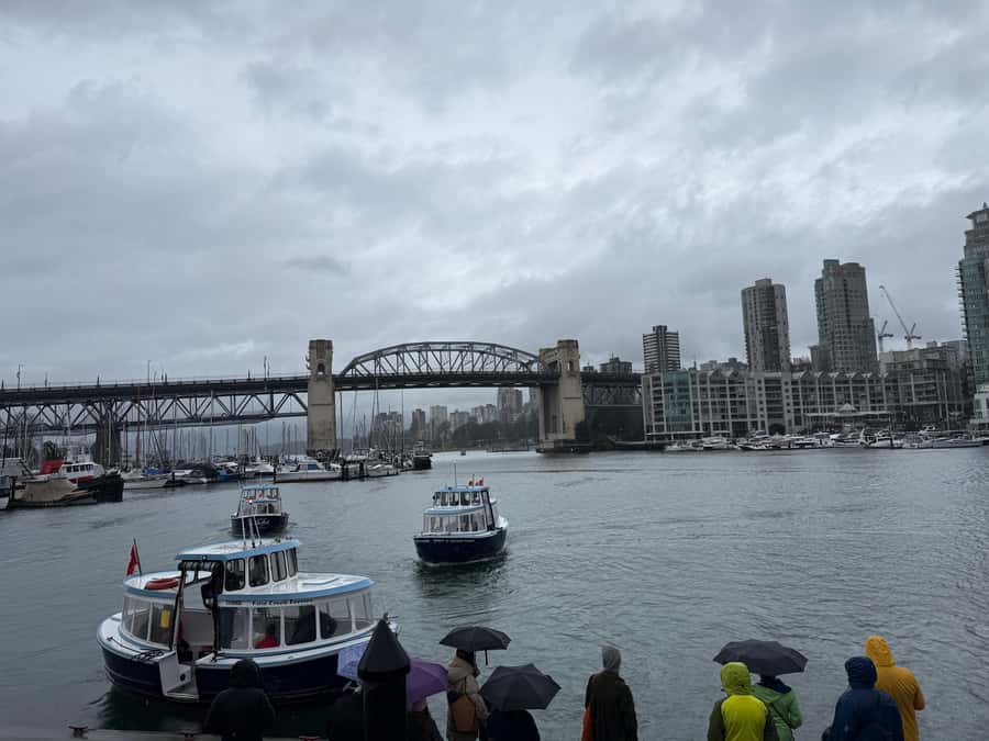 Vancouver Tour/Car/Grandville Island/Queen Elizabeth/China T - Private car comfort and group size