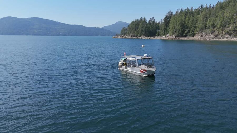 Vancouver UNESCO Biosphere Reserve Wildlife Scenic Boat Tour - Why Howe Sound makes a strong half-day outing