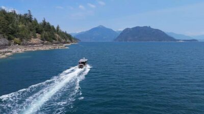 Vancouver UNESCO Biosphere Reserve Wildlife Scenic Boat Tour