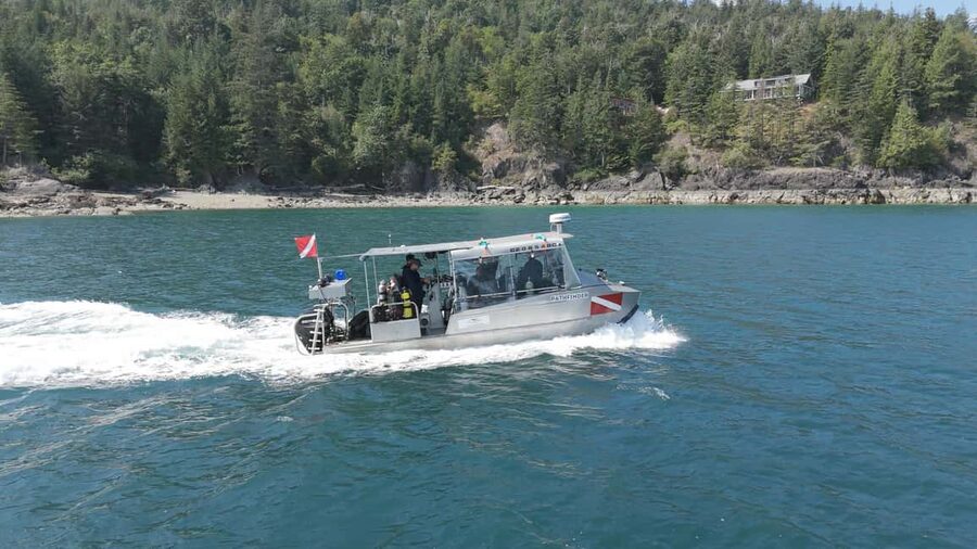 Vancouver UNESCO Biosphere Reserve Wildlife Scenic Boat Tour - Simple preparation for the day