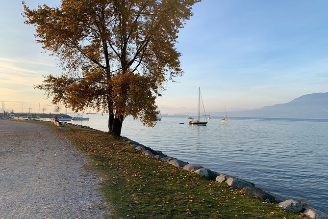 Vancouver Waterfront Guided Bike / Ebike Tour - Granville Island and Fairview: a useful mid-route stop