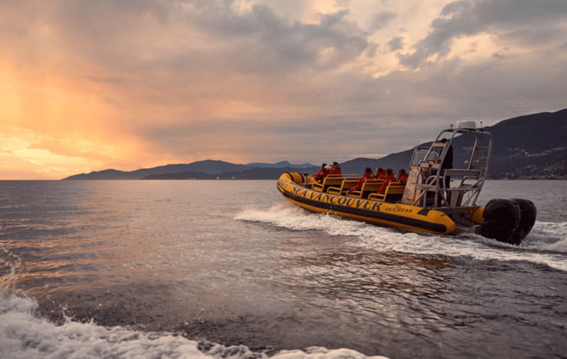 Vancouver: Waterfront Sightseeing Tour - City and Harbour - What the speed feels like on the water