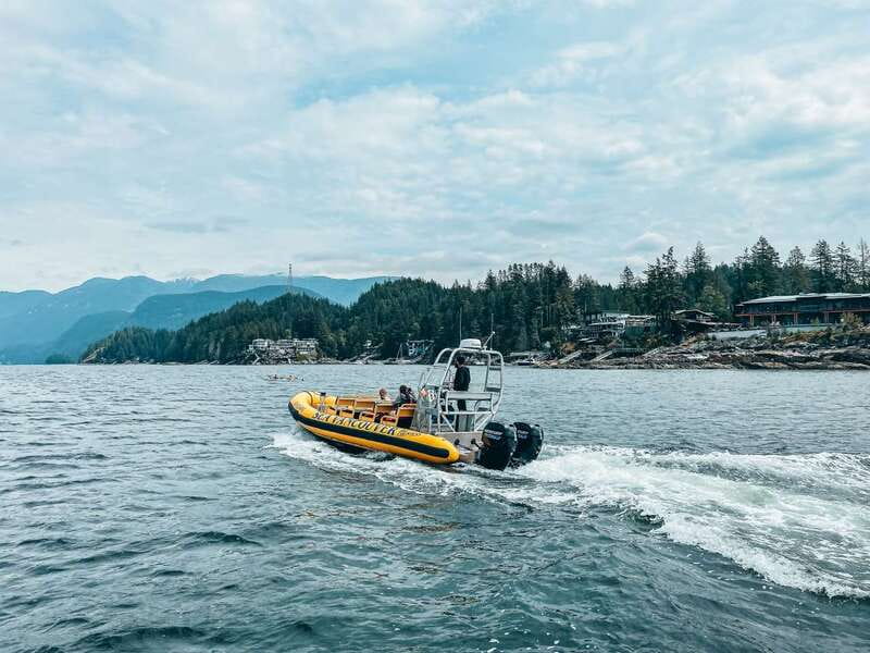 Vancouver: Waterfront Sightseeing Tour - City and Nature - The tour at a glance