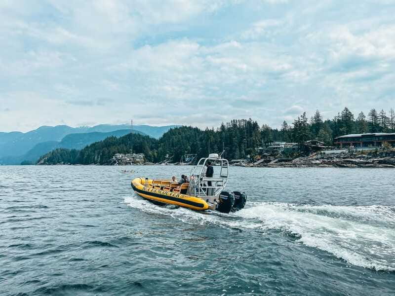 Vancouver: Waterfront Sightseeing Tour - City and Nature - What the 90-minute length means for value