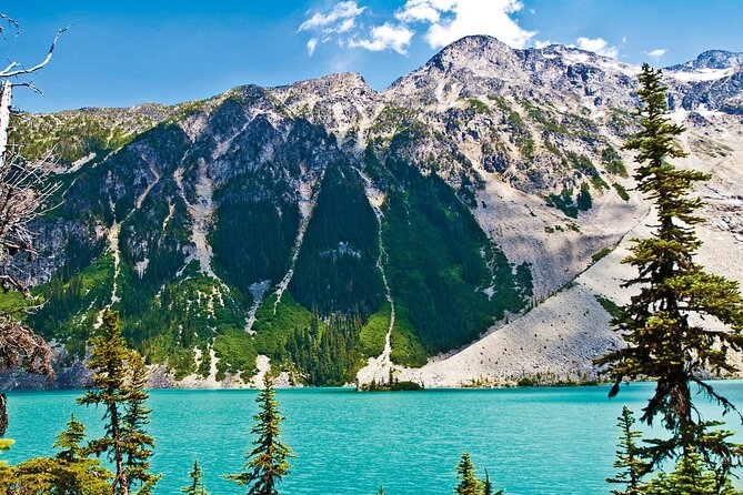 Vancouver: Whistler, Shannon Falls, Peak to Peak Gondola Day Tour - Pickup points cover the region, but plan your morning