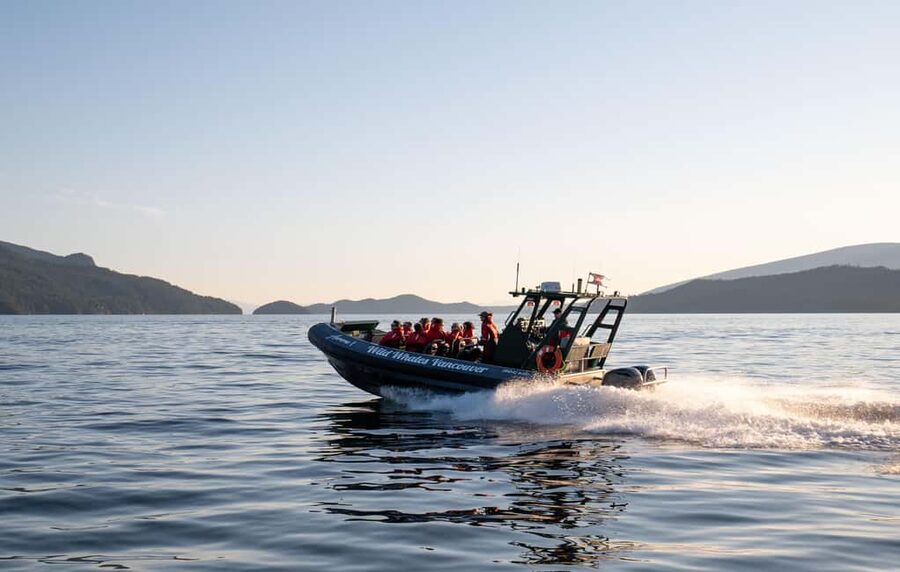 Vancouver: Zodiac Whale Watching Tour from Granville Island - What you might see in the Salish Sea