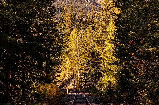 Waterfalls to Whistler Private Tour One Way - Brandywine Falls adds a short forest walk
