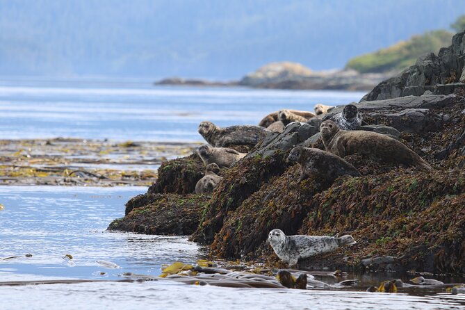 Whale Watching Adventure from Vancouver BC - Steveston Village is the launch point