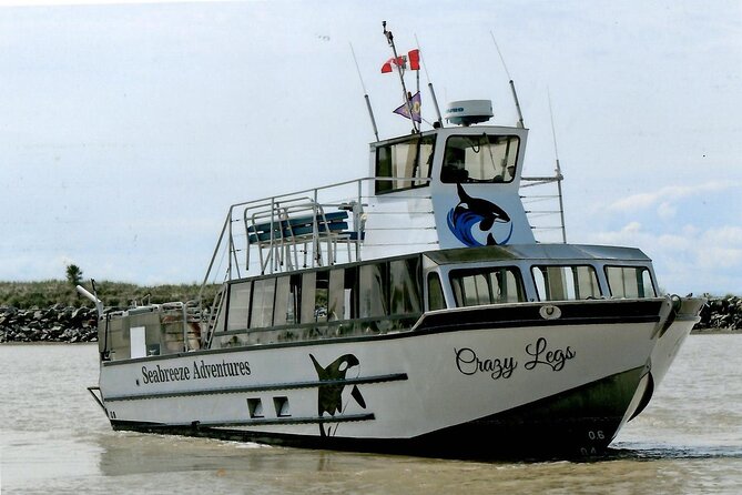 Whale Watching Adventure from Vancouver BC - What the $184 price buys you