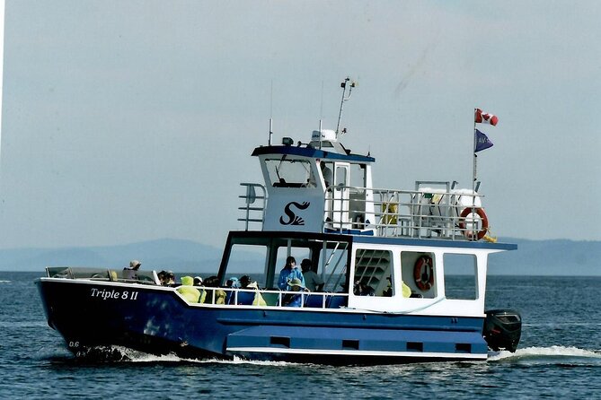 Whale Watching Adventure from Vancouver BC - Who will enjoy this outing most