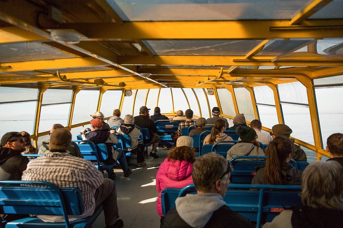 Whale-Watching Tour from Vancouver - The naturalist guide makes a difference