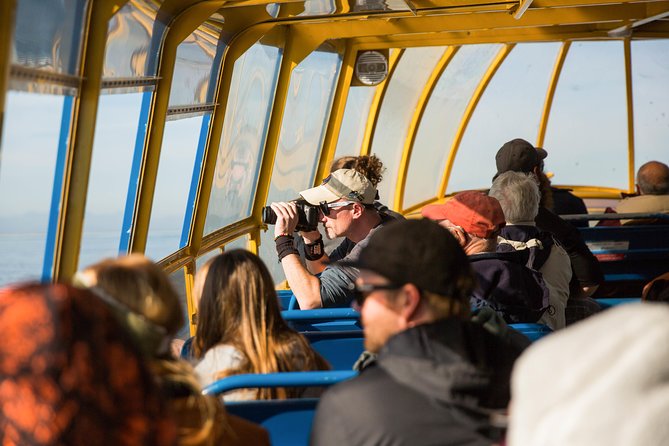 Whale-Watching Tour from Vancouver - Is the price of $157.09 fair?