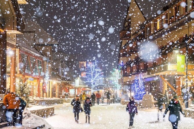 Whistler 1-Day Tour from Vancouver (Chn&Eng) - Why the Sea-to-Sky route is the real star