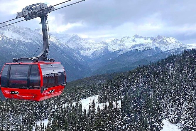 Whistler Sightseeing Tour from Vancouver: See Horseshoe Bay and Shannon Falls - Stanley Park and the Lions Gate crossing