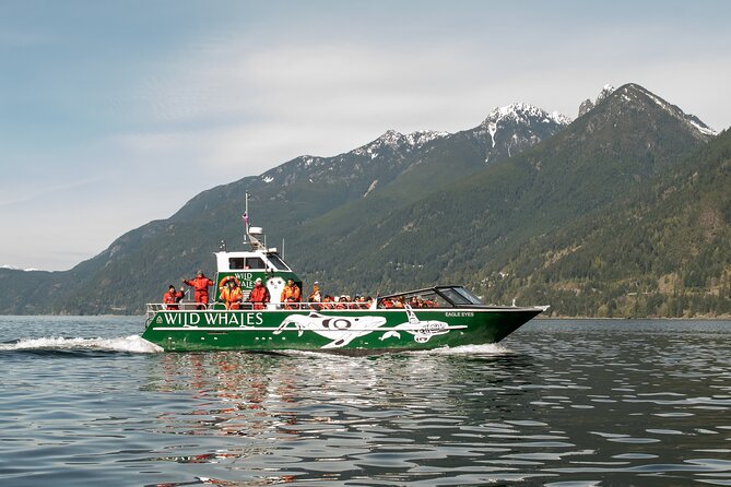 Wild Whale Watching Experience - Open Air Vessel - Key points to know before booking
