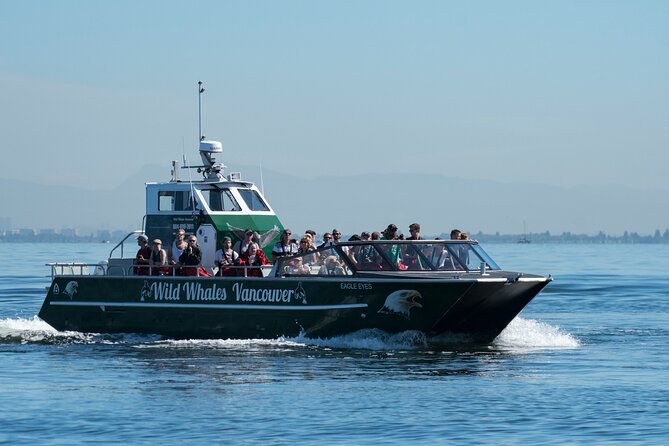 Wild Whale Watching Experience - Open Air Vessel - What the motion and weather are really like